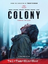 Colony