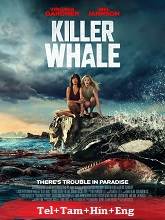 Killer Whale
